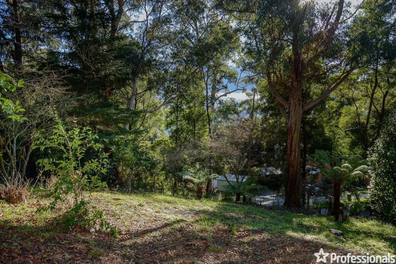 2A Old Warburton Road, Warburton VIC 3799, Image 1