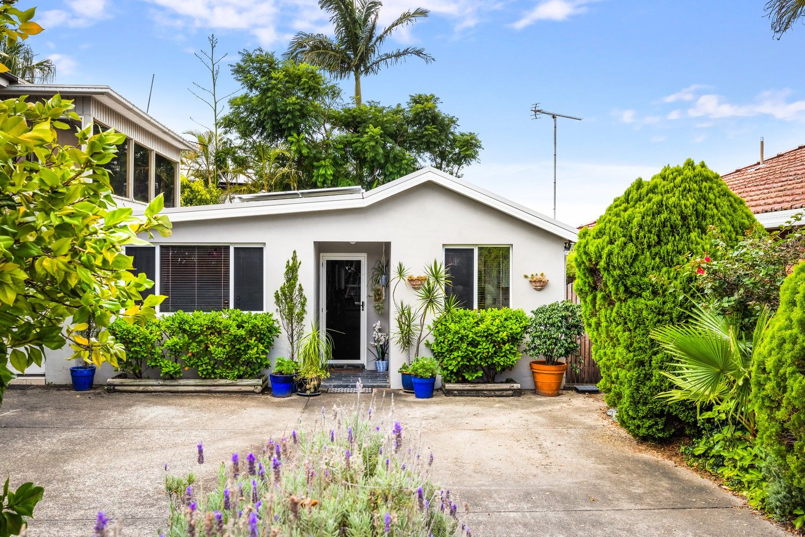 7a Alfred Road, Brookvale NSW 2100, Image 0