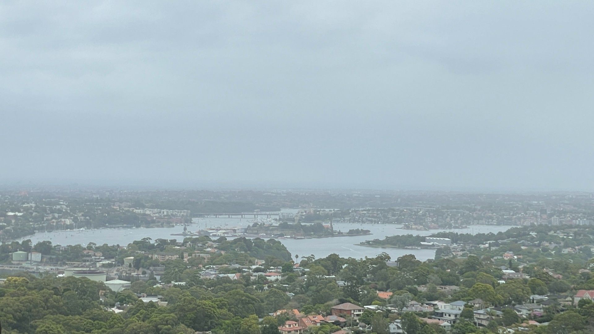 1 bedrooms Apartment / Unit / Flat in Level 20/500 Pacific Highway ST LEONARDS NSW, 2065