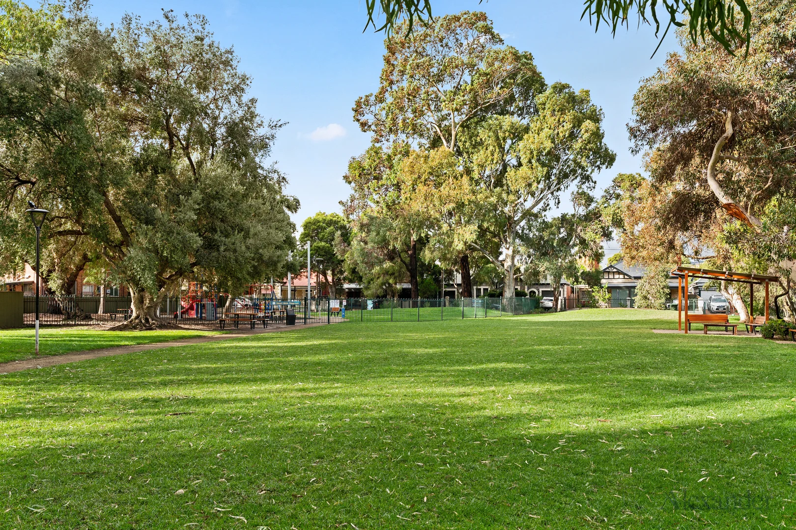 Image 20
