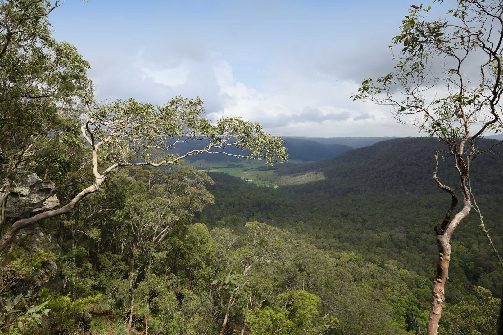 4/Q3 Wallaby Gully Road, Ellalong NSW 2325 Vacant Land for Sale