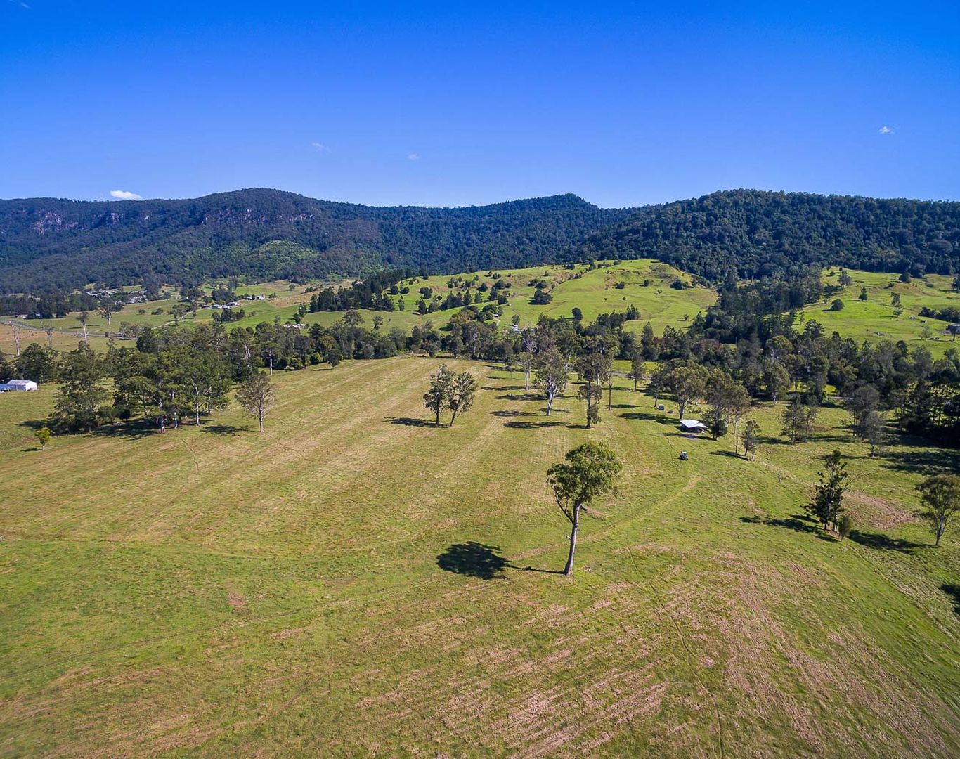 2325 NERANG MURWILLUMBAH ROAD, Numinbah Valley QLD 4211 Specialist