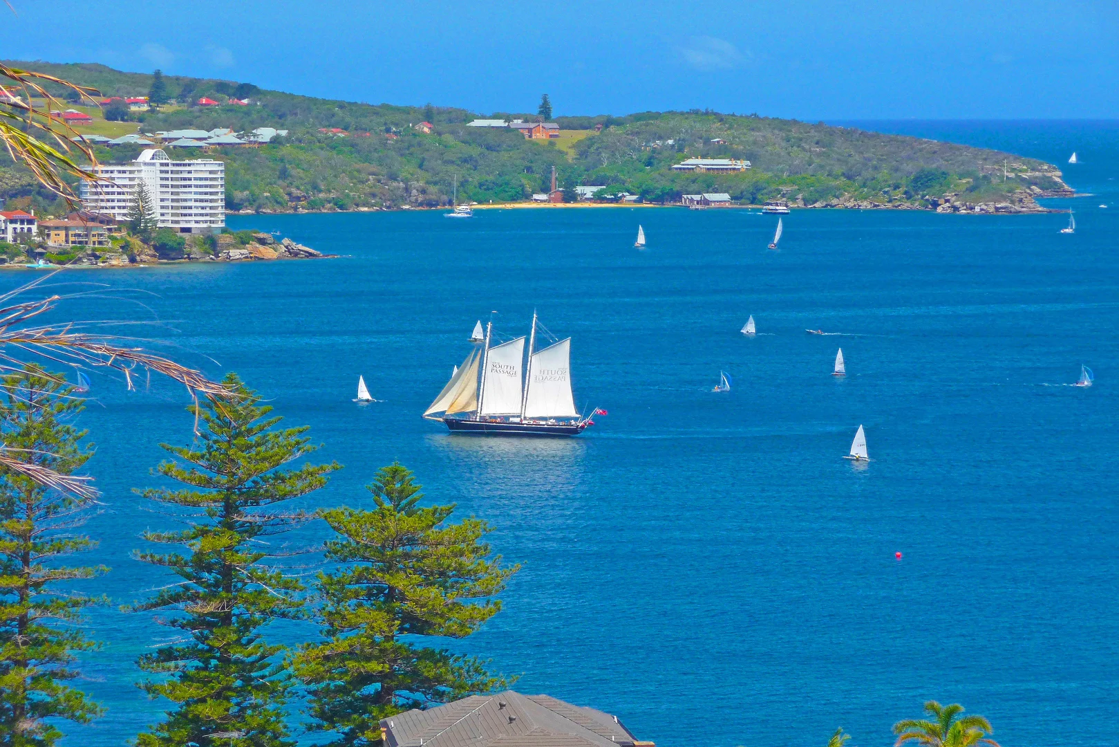 Additional image 5 of , Fairlight NSW 2094