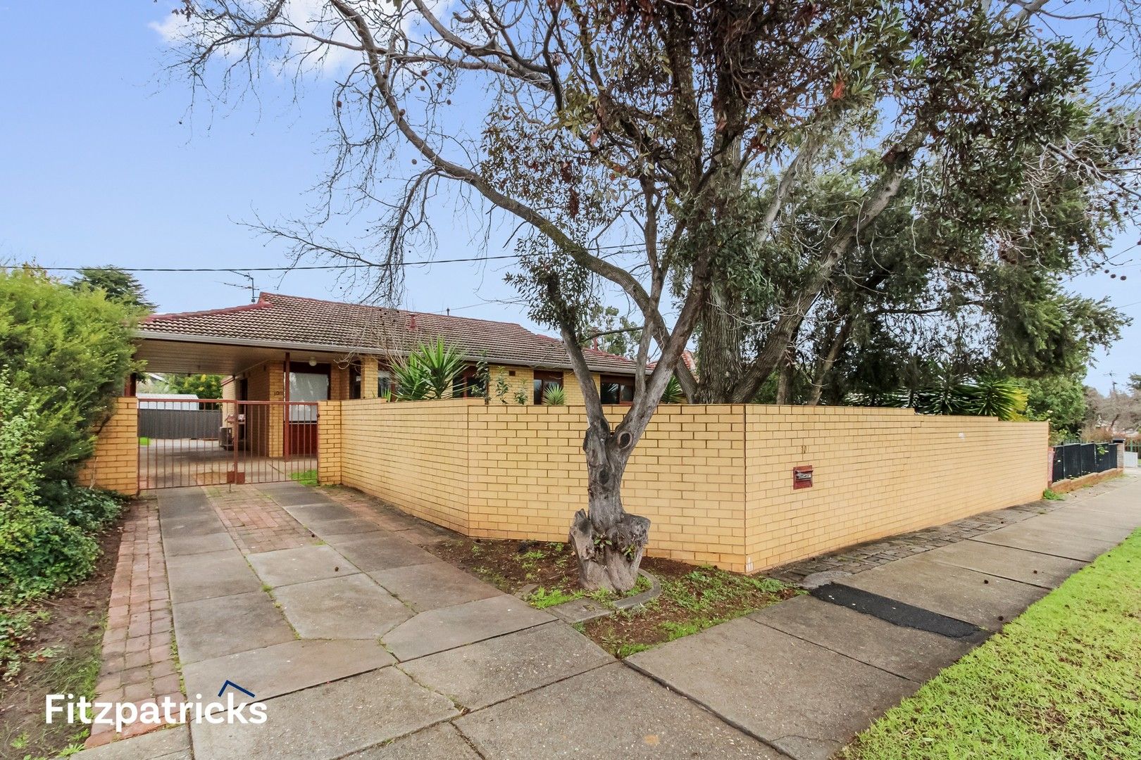 10 Bruce Street, Tolland NSW 2650 House For Rent Domain