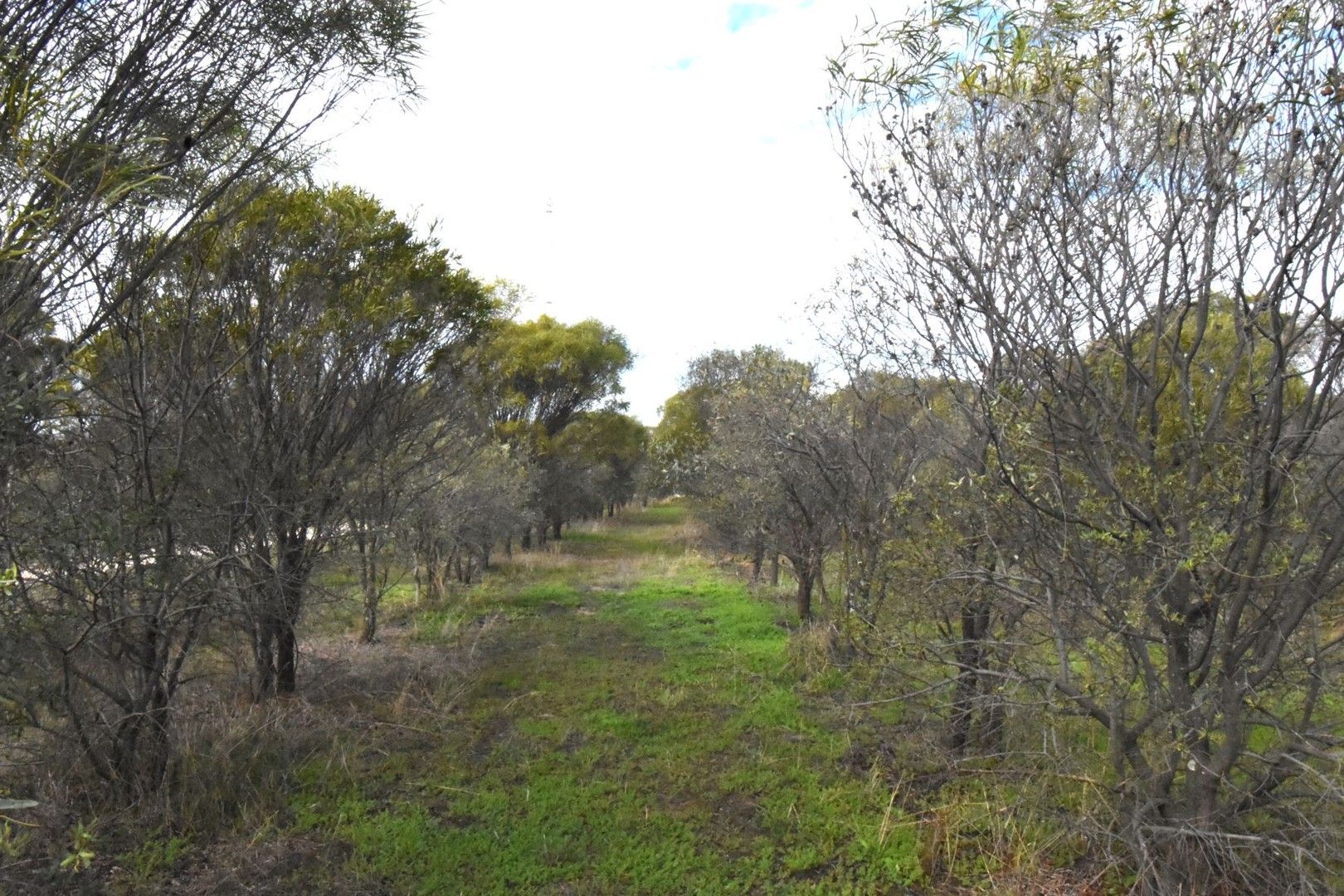 Lot 18493 Tutanning Road, East Pingelly WA 6308, Image 0