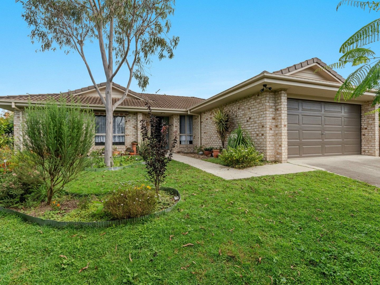 12 Eileen Place, Casino NSW 2470, Image 0