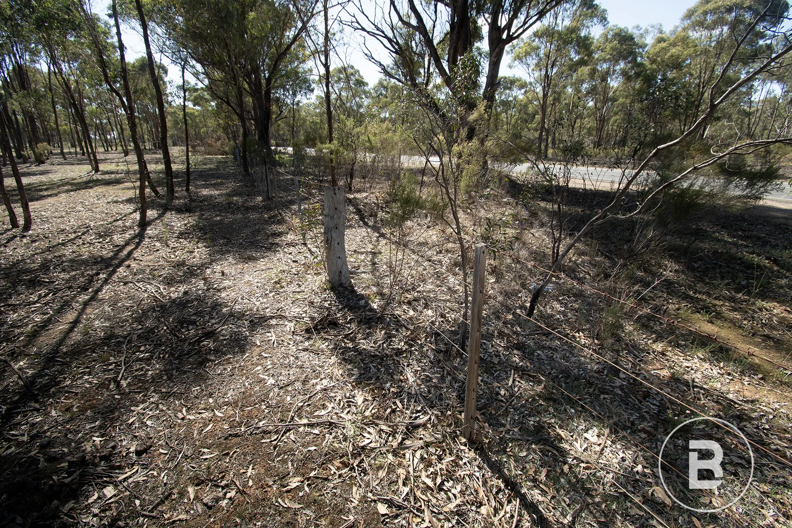 Image 15