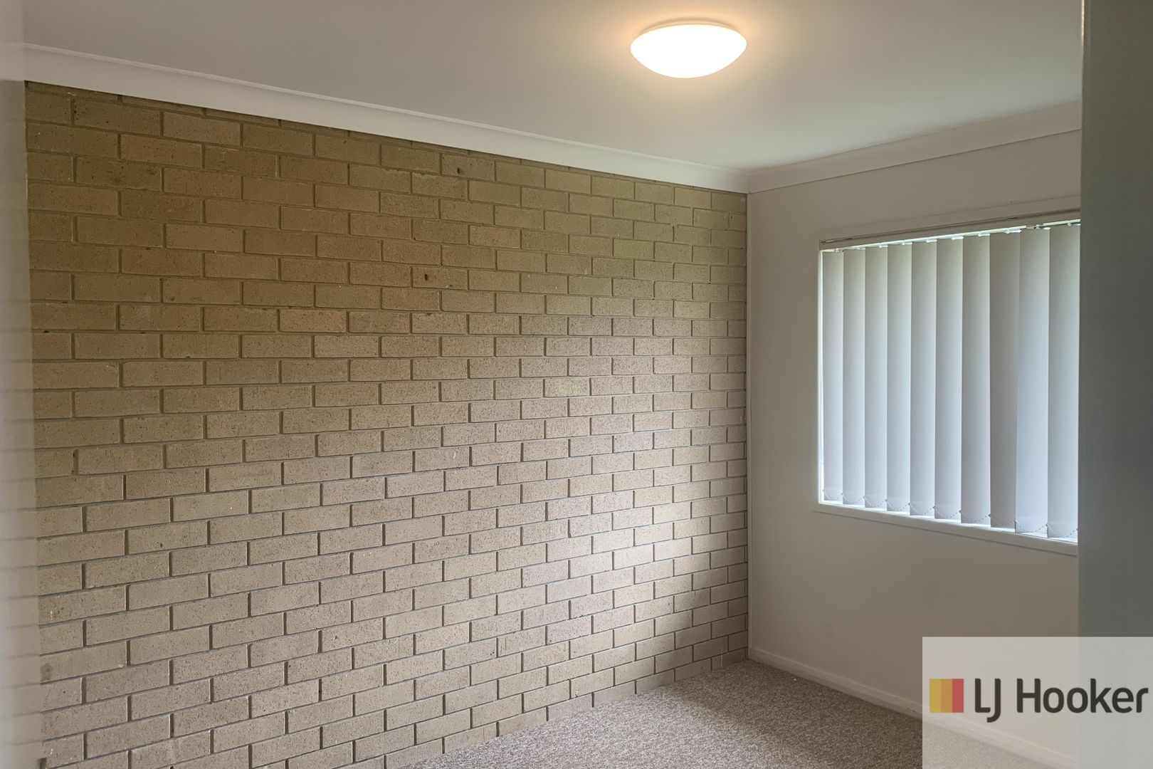 2/31 Pine Avenue, Mullumbimby NSW 2482 Apartment For Rent Domain