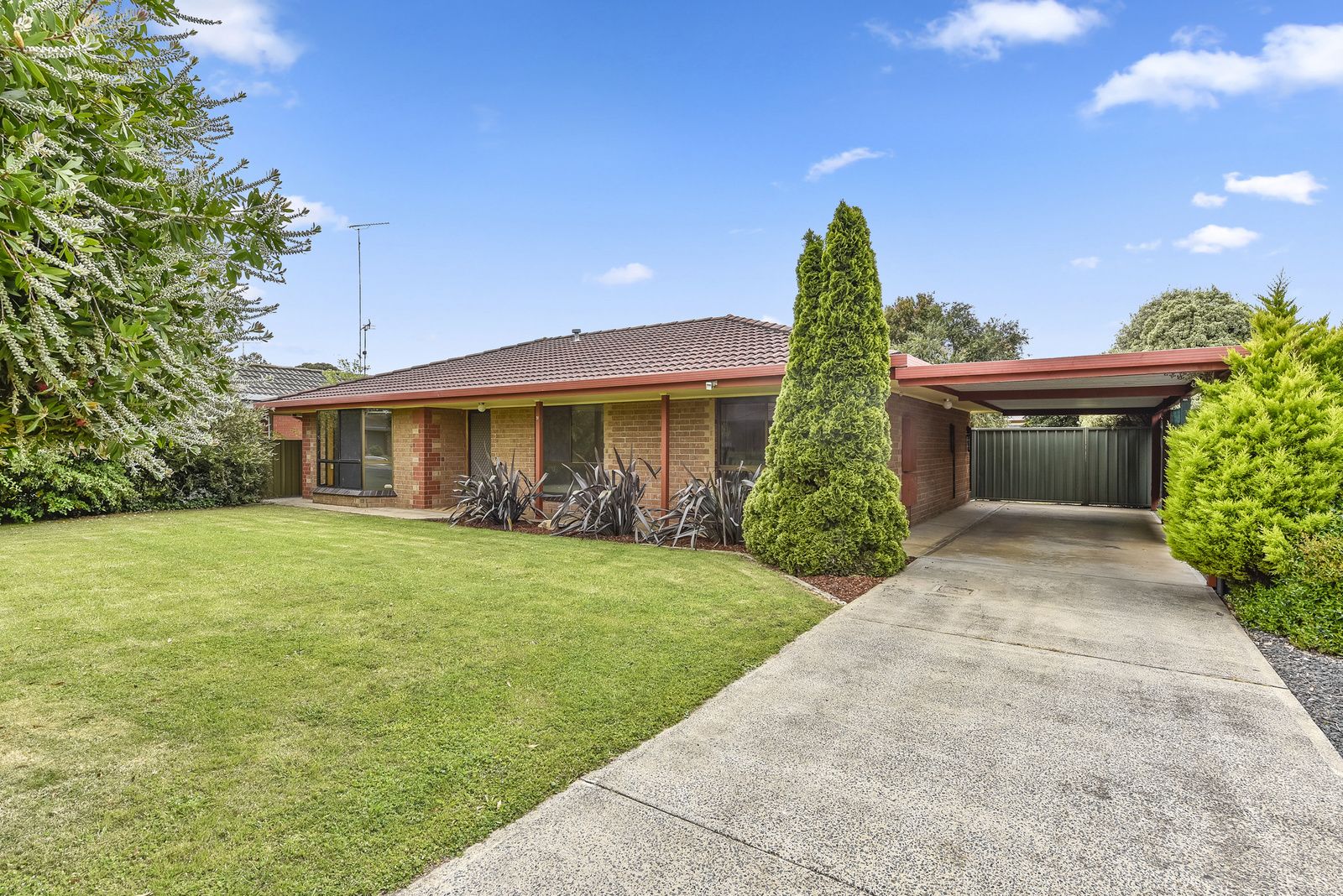 4 Shalamar Crescent Mount Gambier Sa 5290 Domain