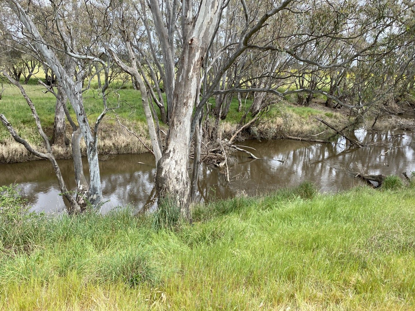 Lot 14 Browne Lane, Muskerry VIC 3557, Image 0