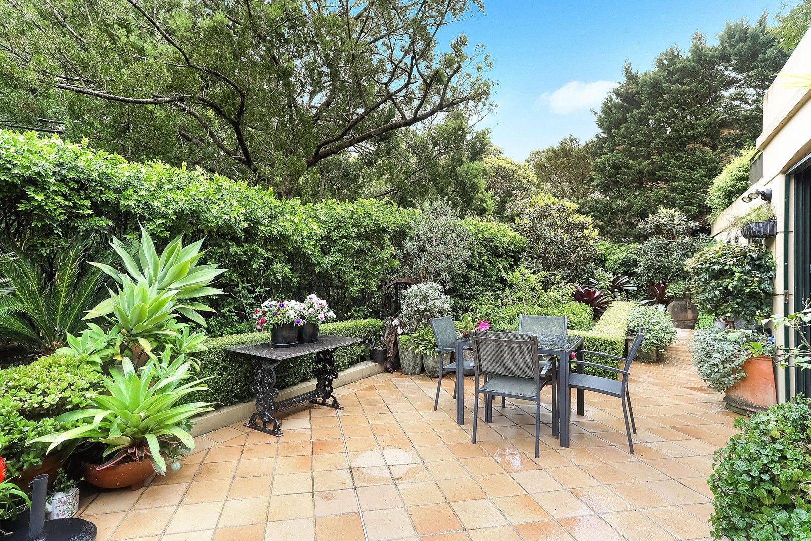 1/6 Carlotta Road, Double Bay NSW 2028 Domain