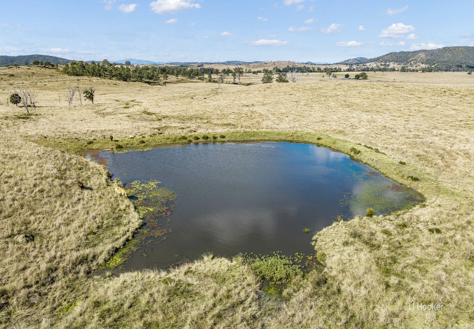 Lot 116 & 117 Grieves Road, Harlin QLD 4314, Image 1