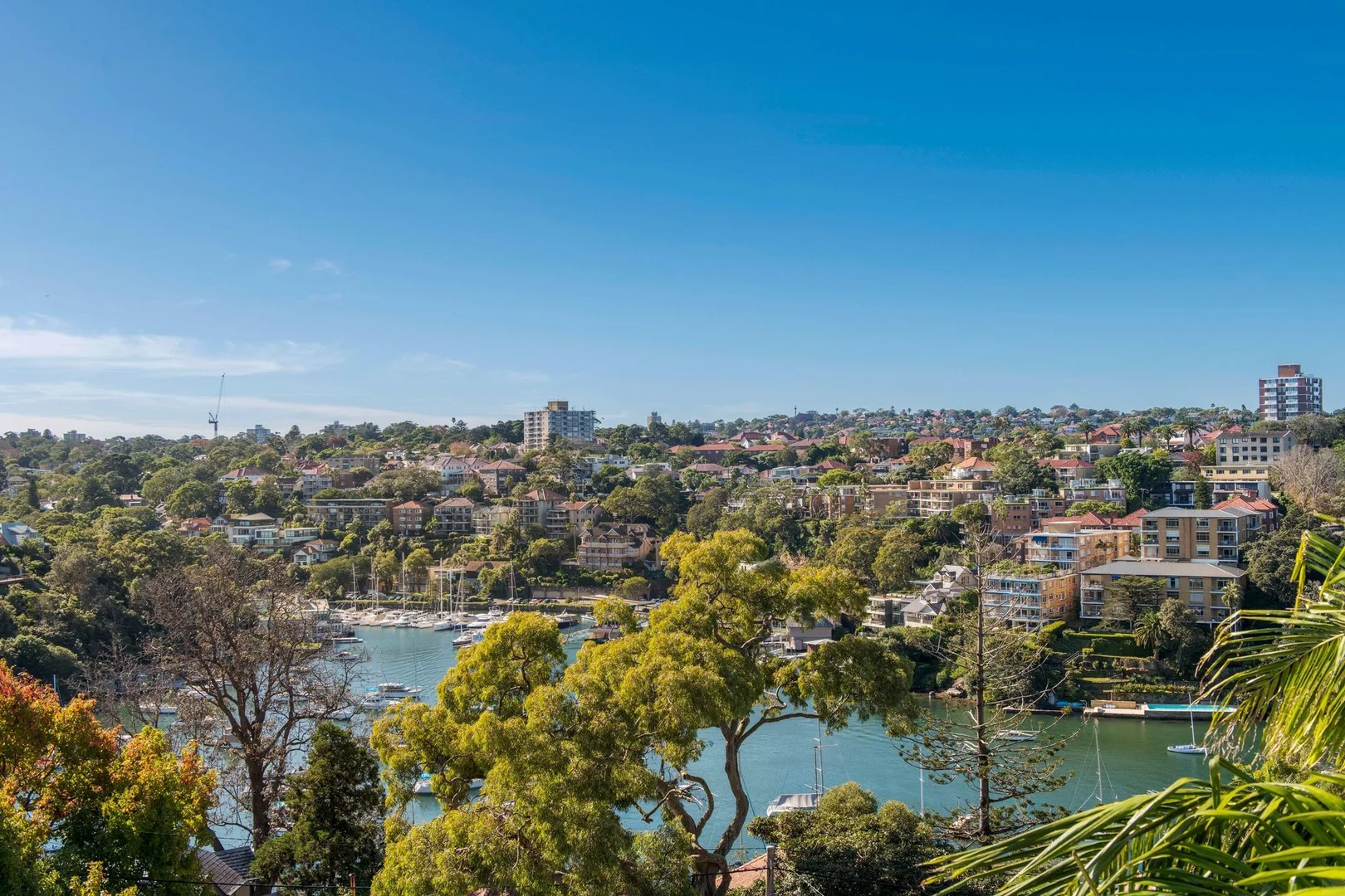 Additional image 3 of 8/30 Kareela Road, Cremorne Point NSW 2090