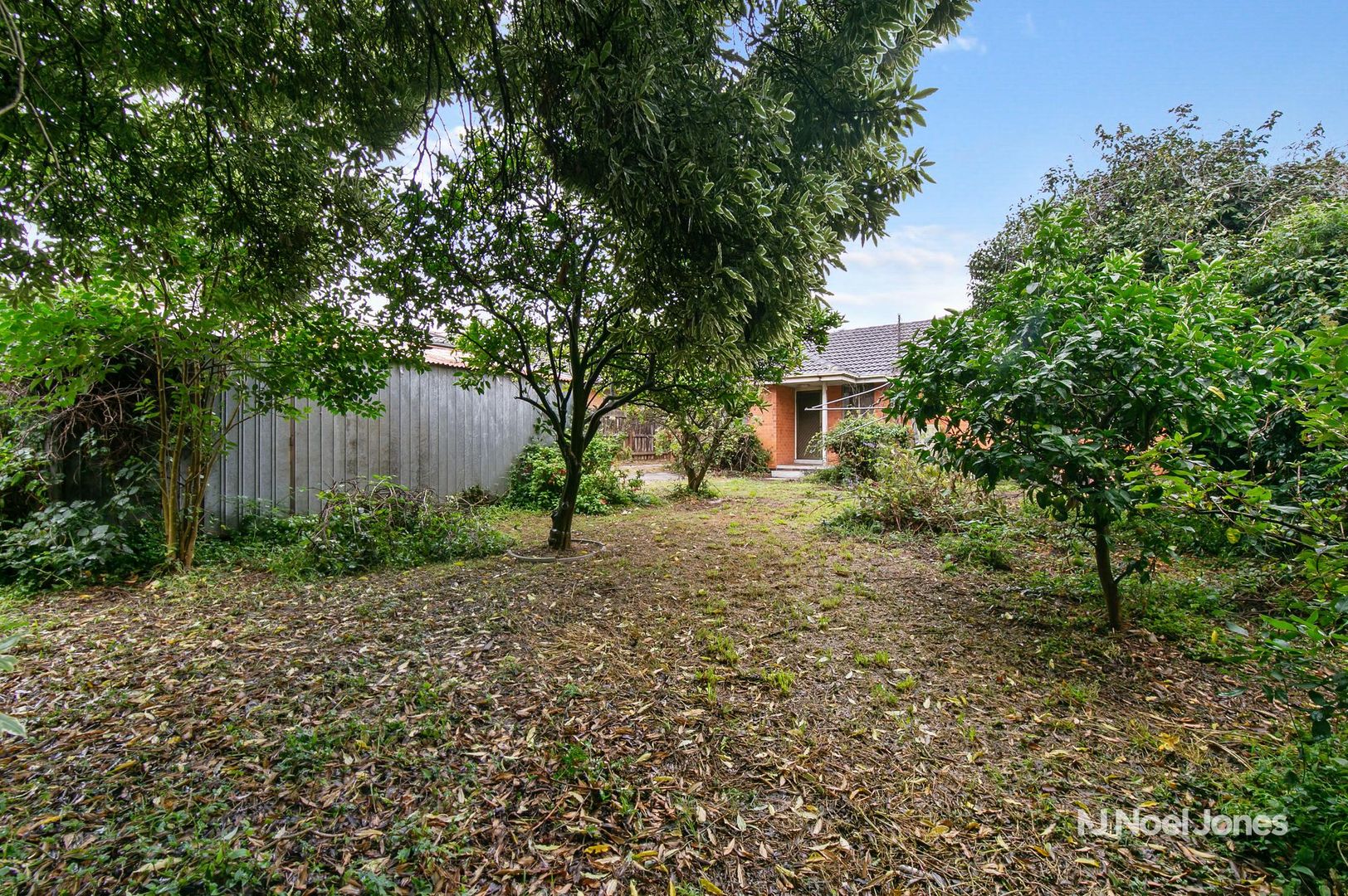 1 Blue Hills Avenue, Nunawading VIC 3131, Image 2