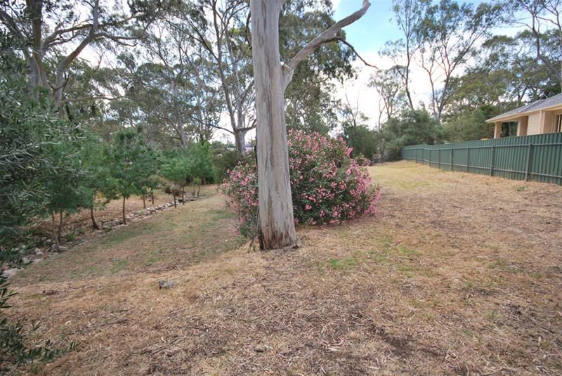 45 Marsha Drive, Banksia Park SA 5091, Image 2