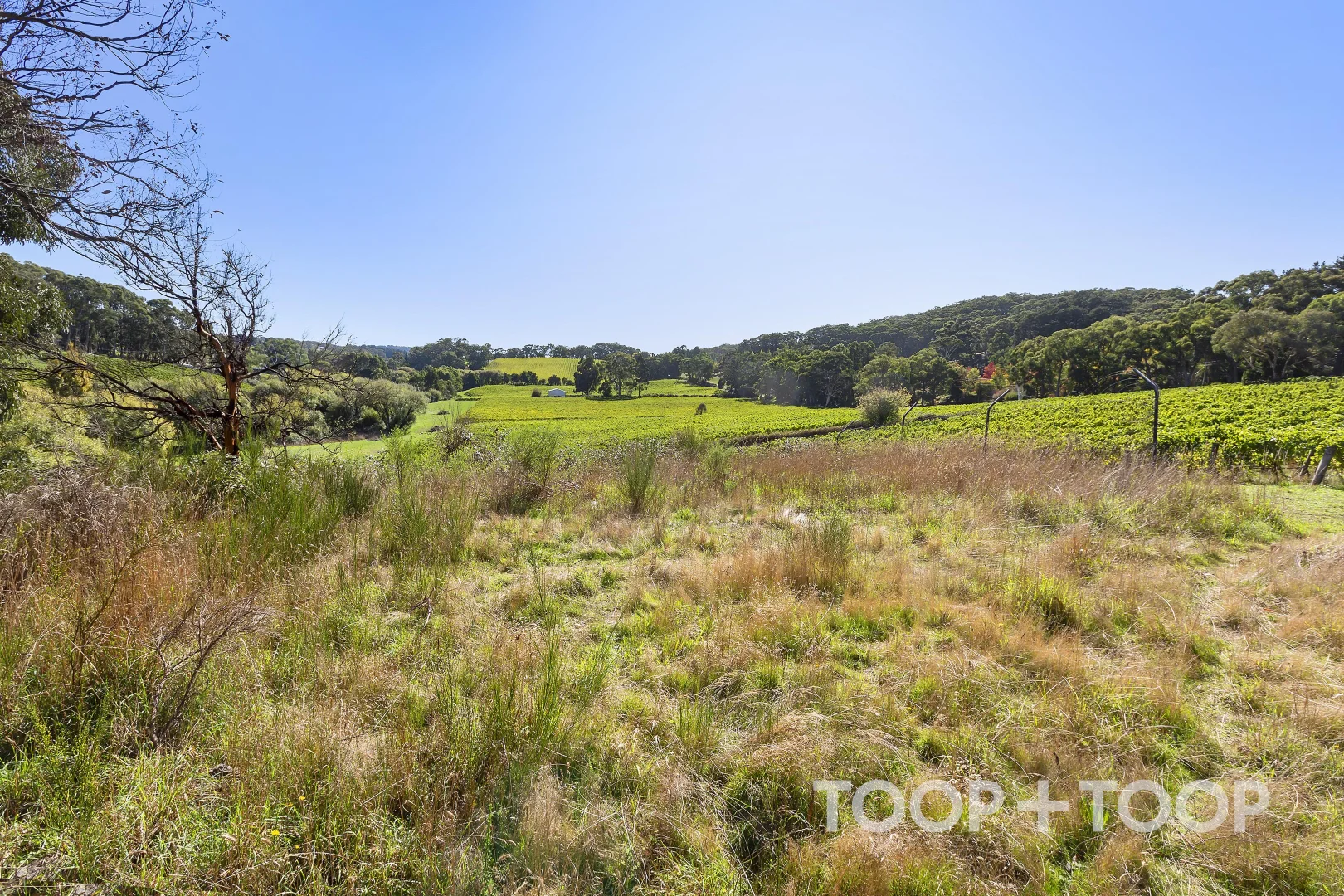 Additional image 4 of 12 Udys Road, Piccadilly SA 5151