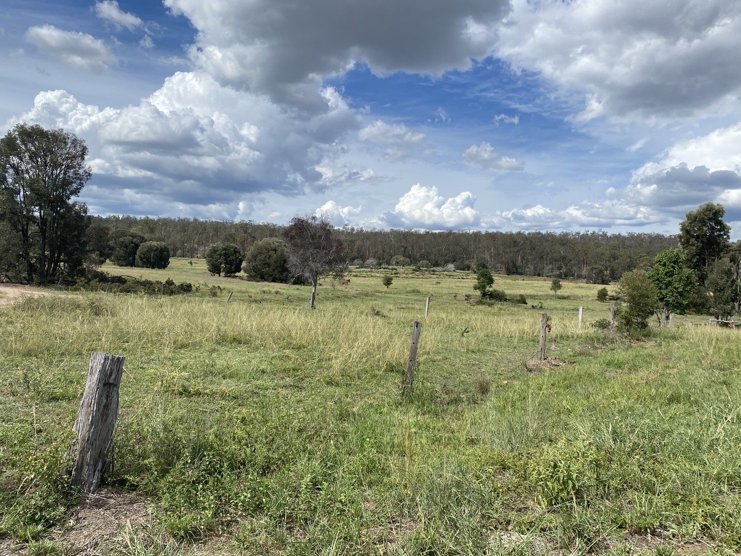 Mulgildie QLD 4630, Image 0