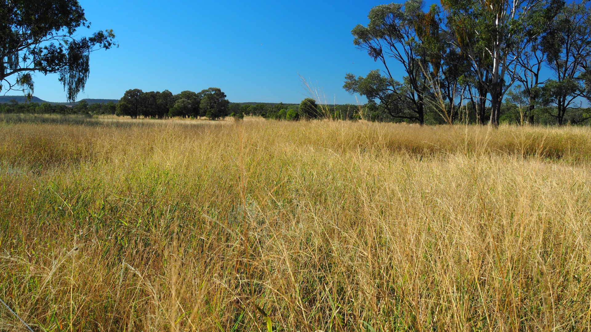 44873 Burnett Highway, Jambin QLD 4702, Image 1