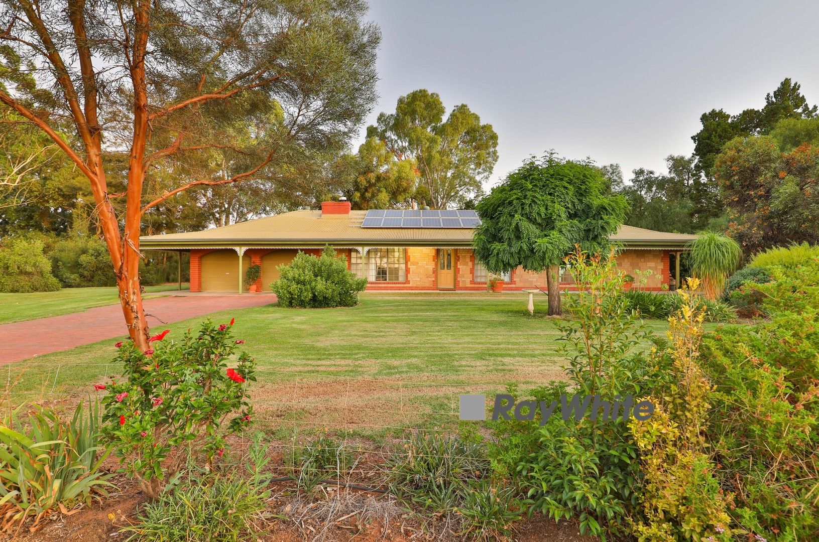 581 Morpung Avenue, Irymple VIC 3498, Image 0