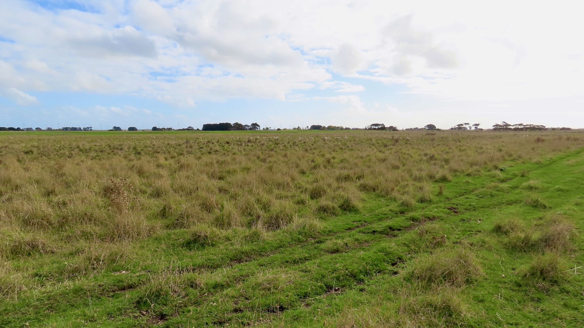 Lot 2 Beaton Road, Tantanoola SA 5280, Image 2