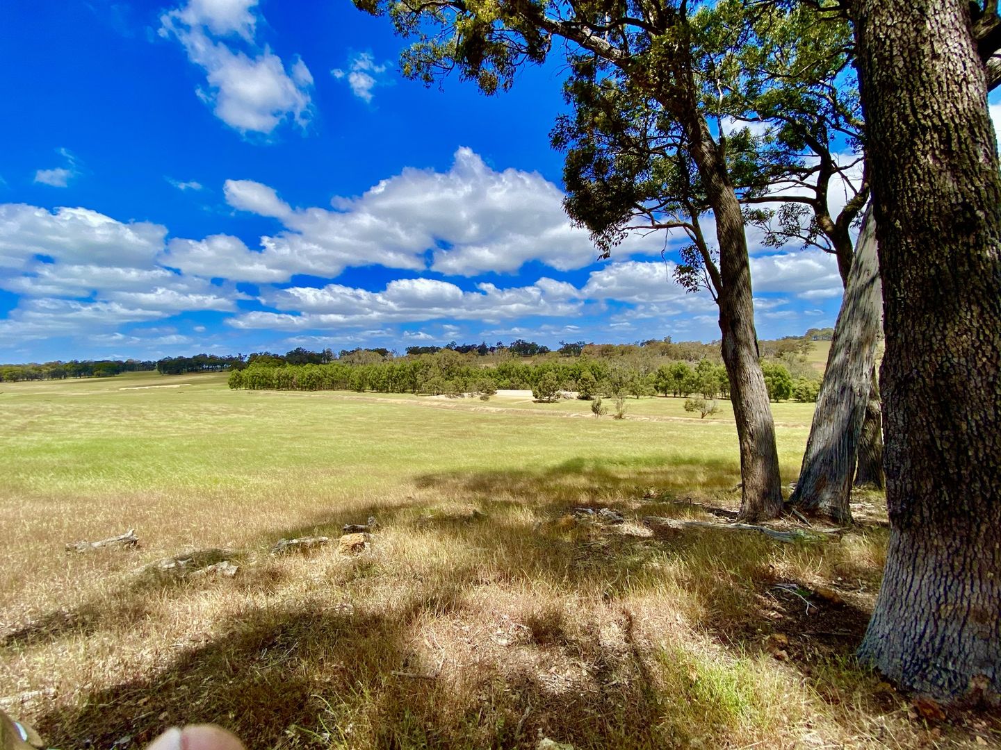 Lot 5 & 7 Six Mile Road, Mayanup WA 6244, Image 1