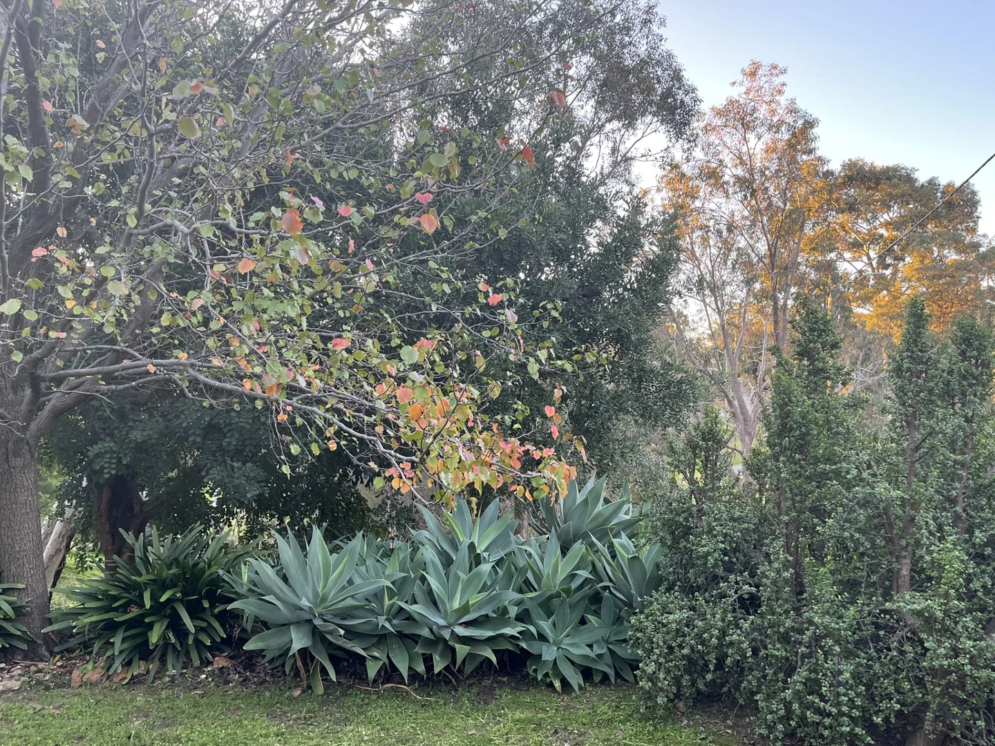 Image 12