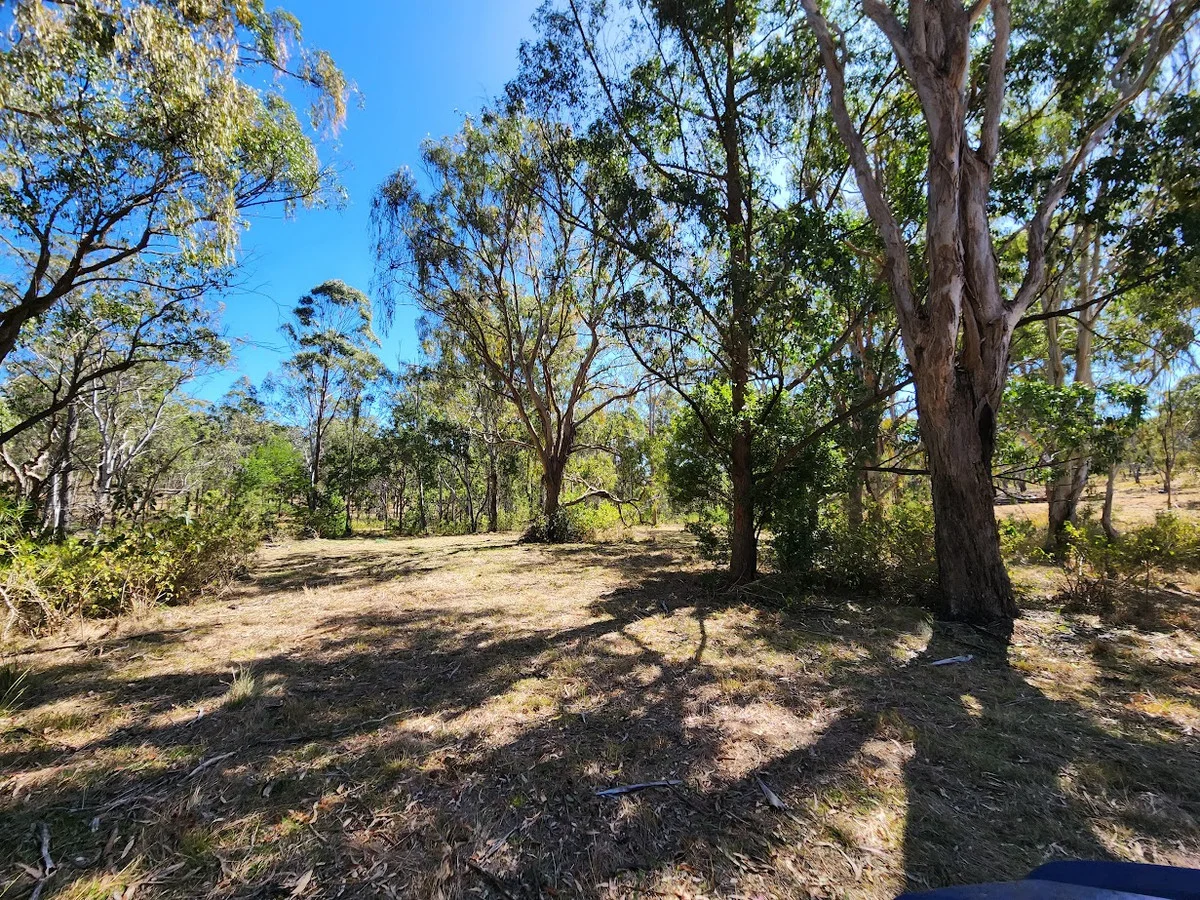 Image 10