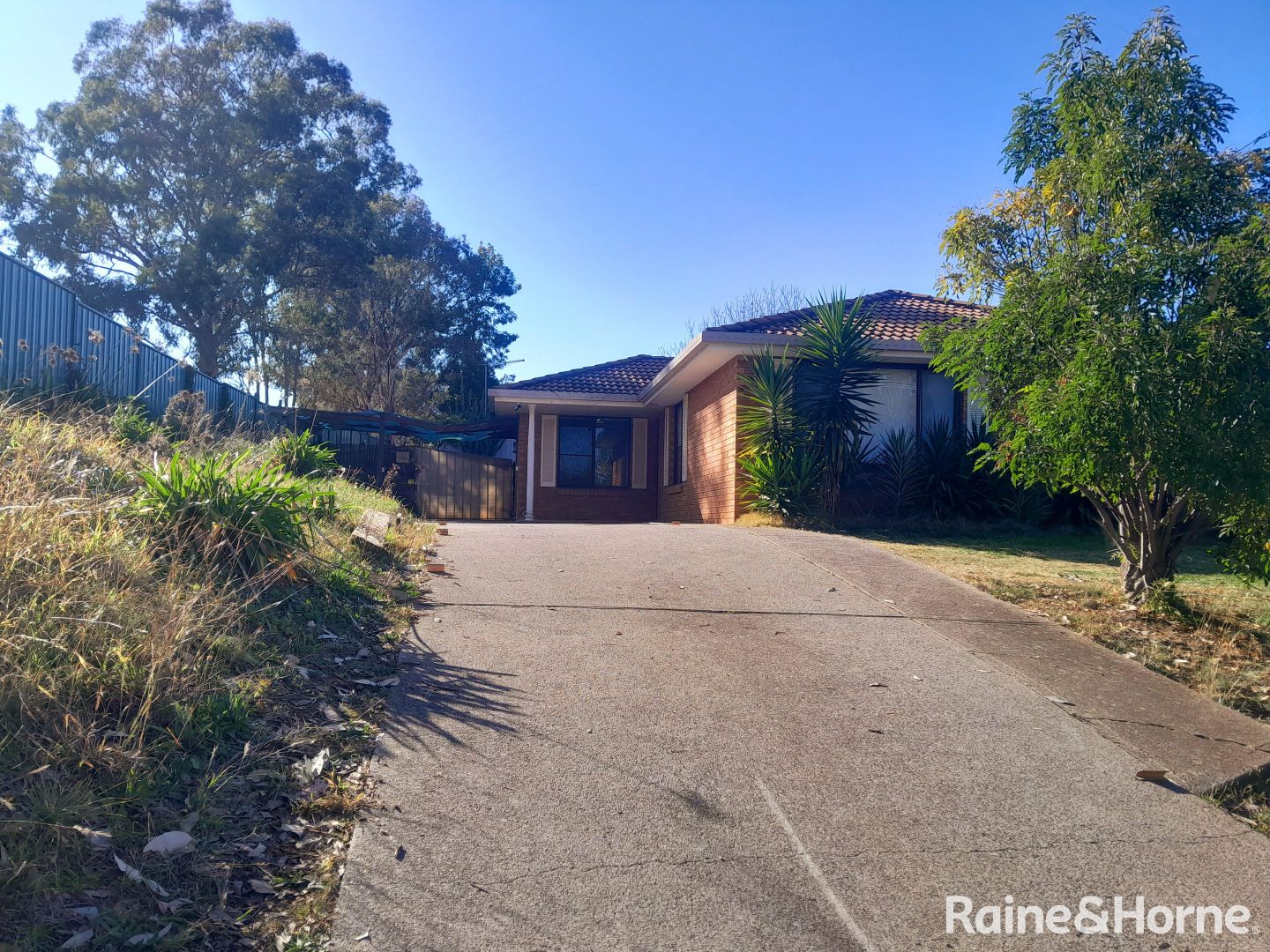 81 Cole Road, West Tamworth NSW 2340 House For Rent 380 Domain