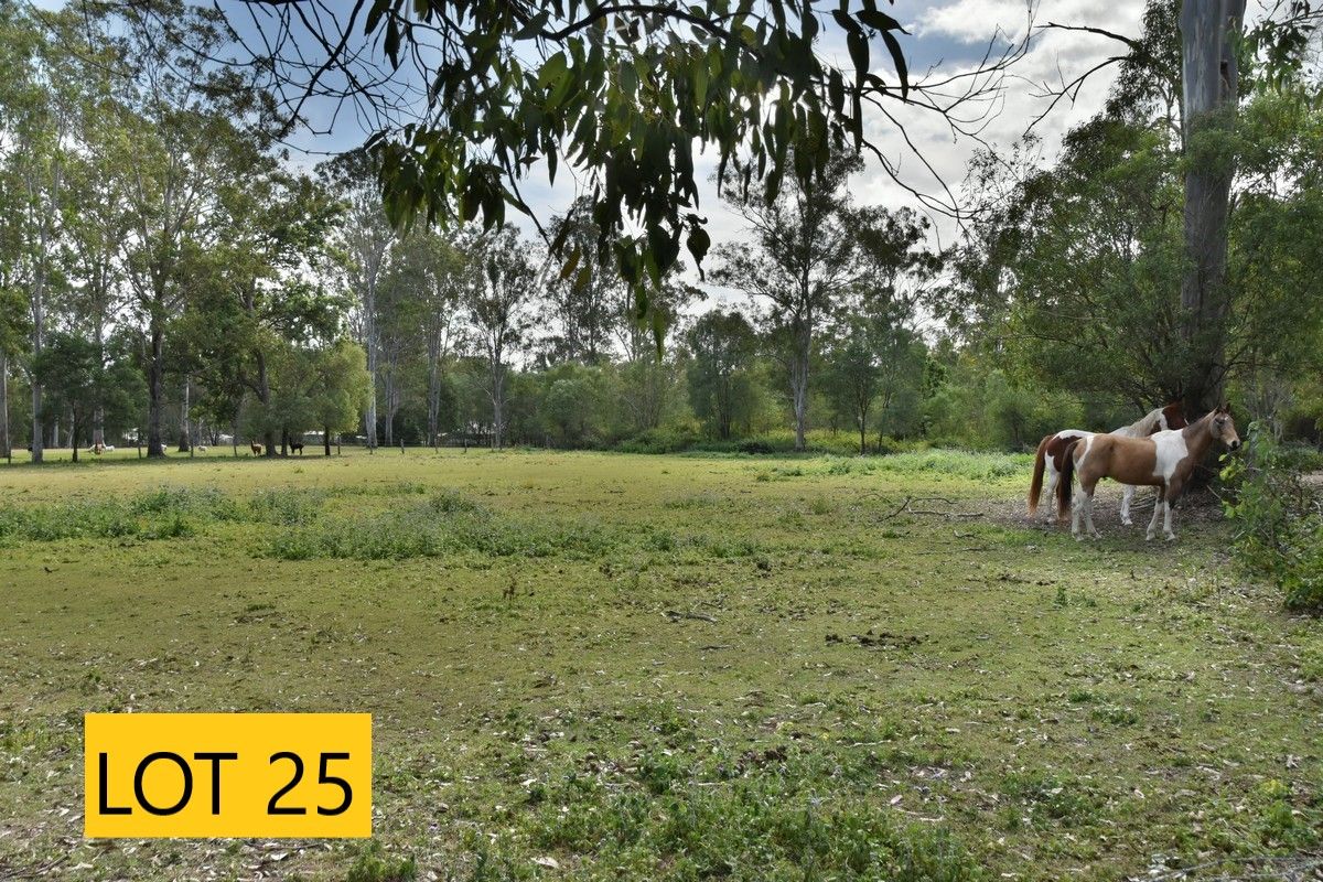 318 Miller Road, Logan Village QLD 4207, Image 2