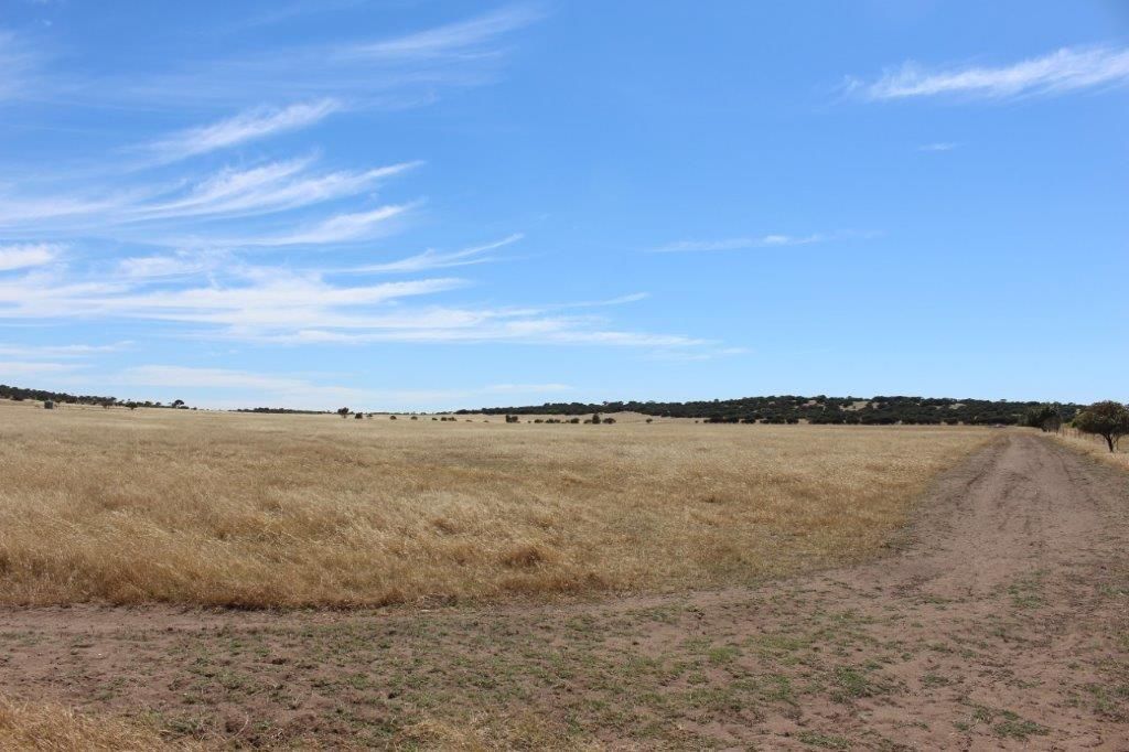 Lot 53 Steele Road, Bonniefield WA 6525, Image 0