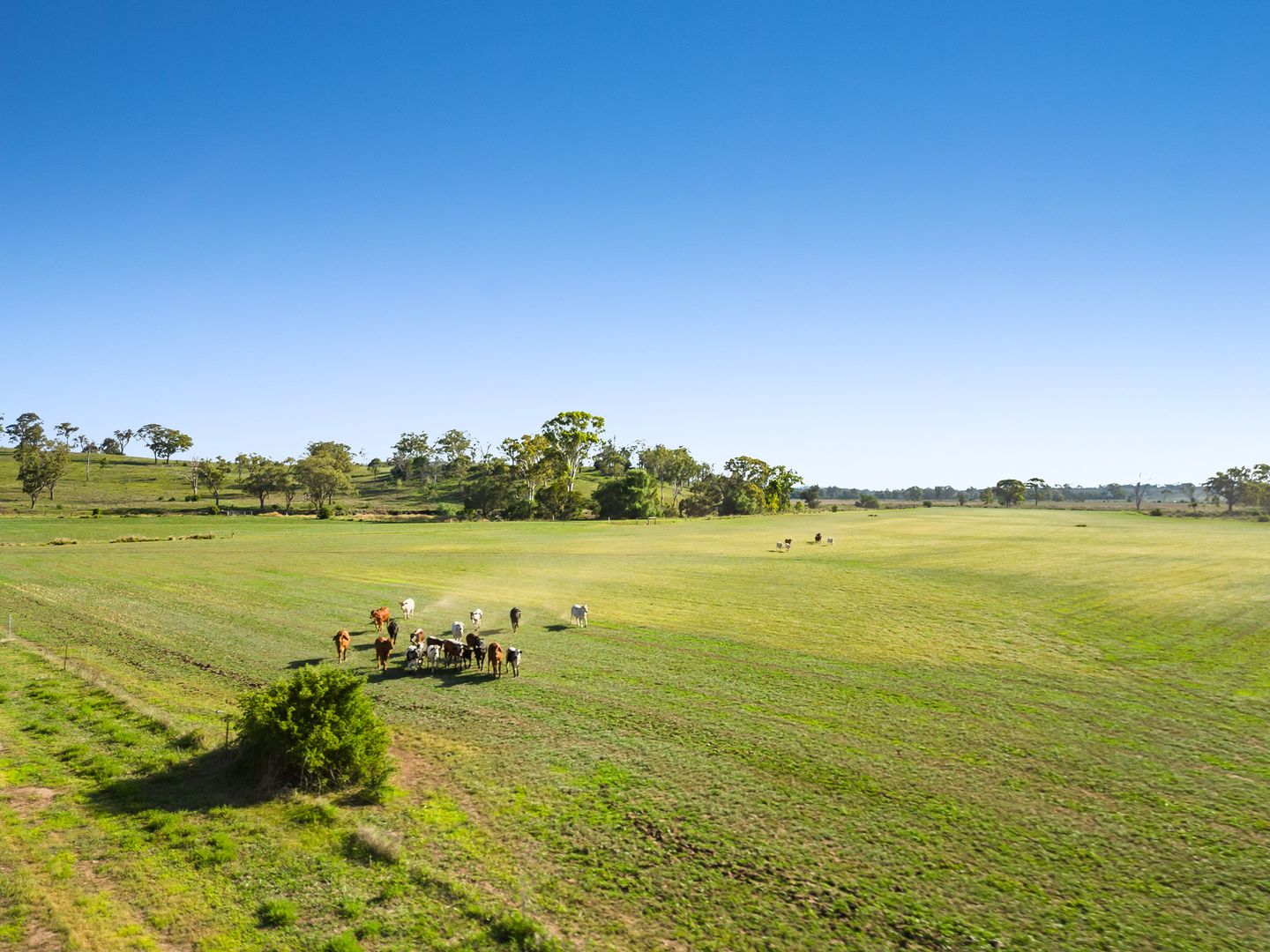 Lot 2 Gomoran Douglas Rd, Douglas QLD 4354, Image 2