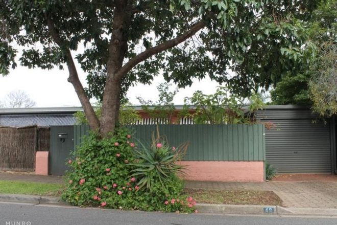 Picture of 49 Beatty Street, LINDEN PARK SA 5065