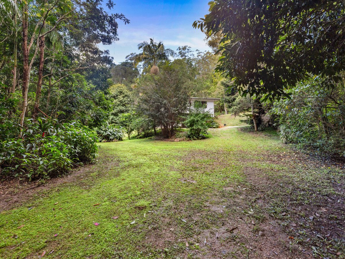 2038 numinbah Road, Numinbah NSW 2484, Image 1