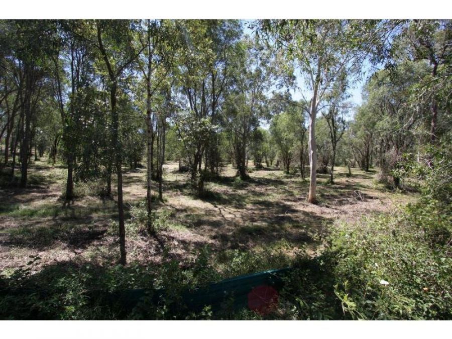 7 Bonanza Pl, BUCCAN QLD 4207, Image 1