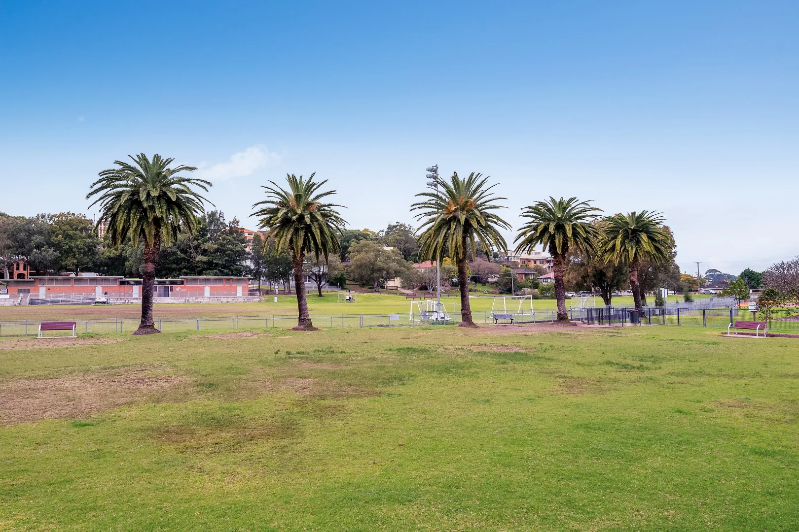 Additional image 11 of 66 Carwar Avenue, Carss Park NSW 2221