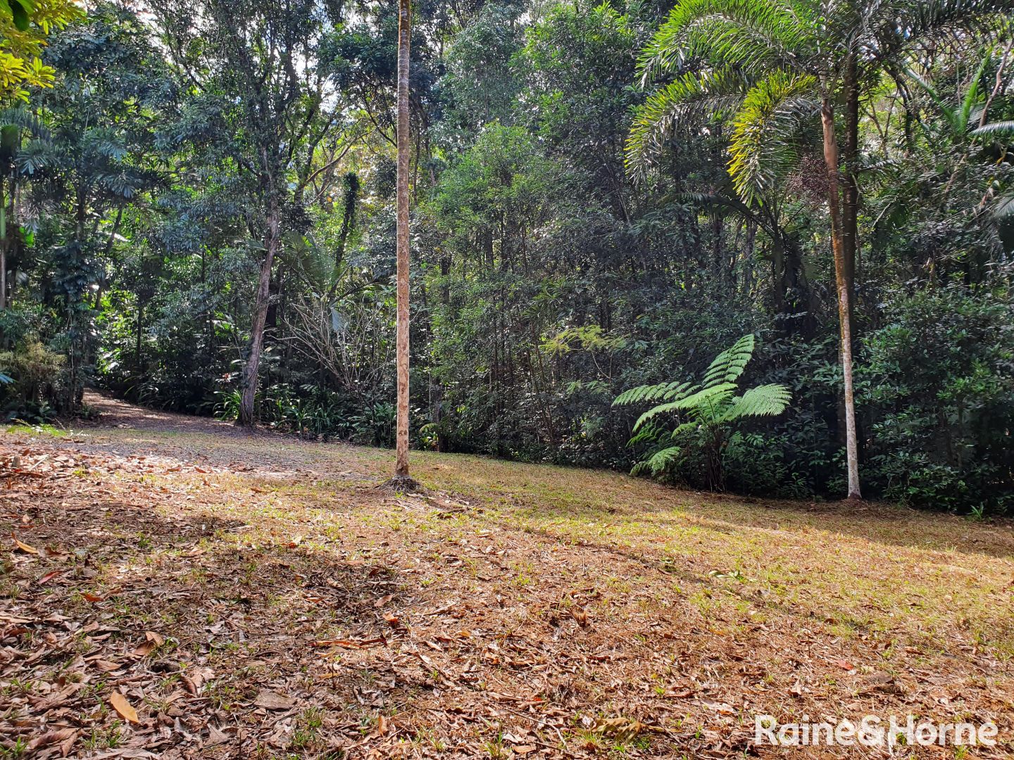 132 George Road, FOREST CREEK, Daintree QLD 4873, Image 1