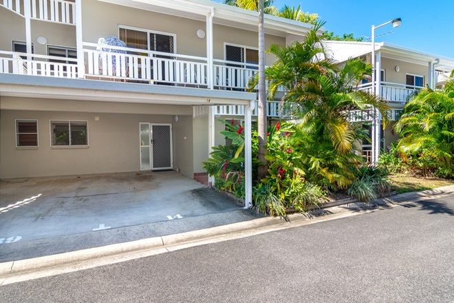 162 Apartments For Sale In Port Douglas Qld 4877 Domain