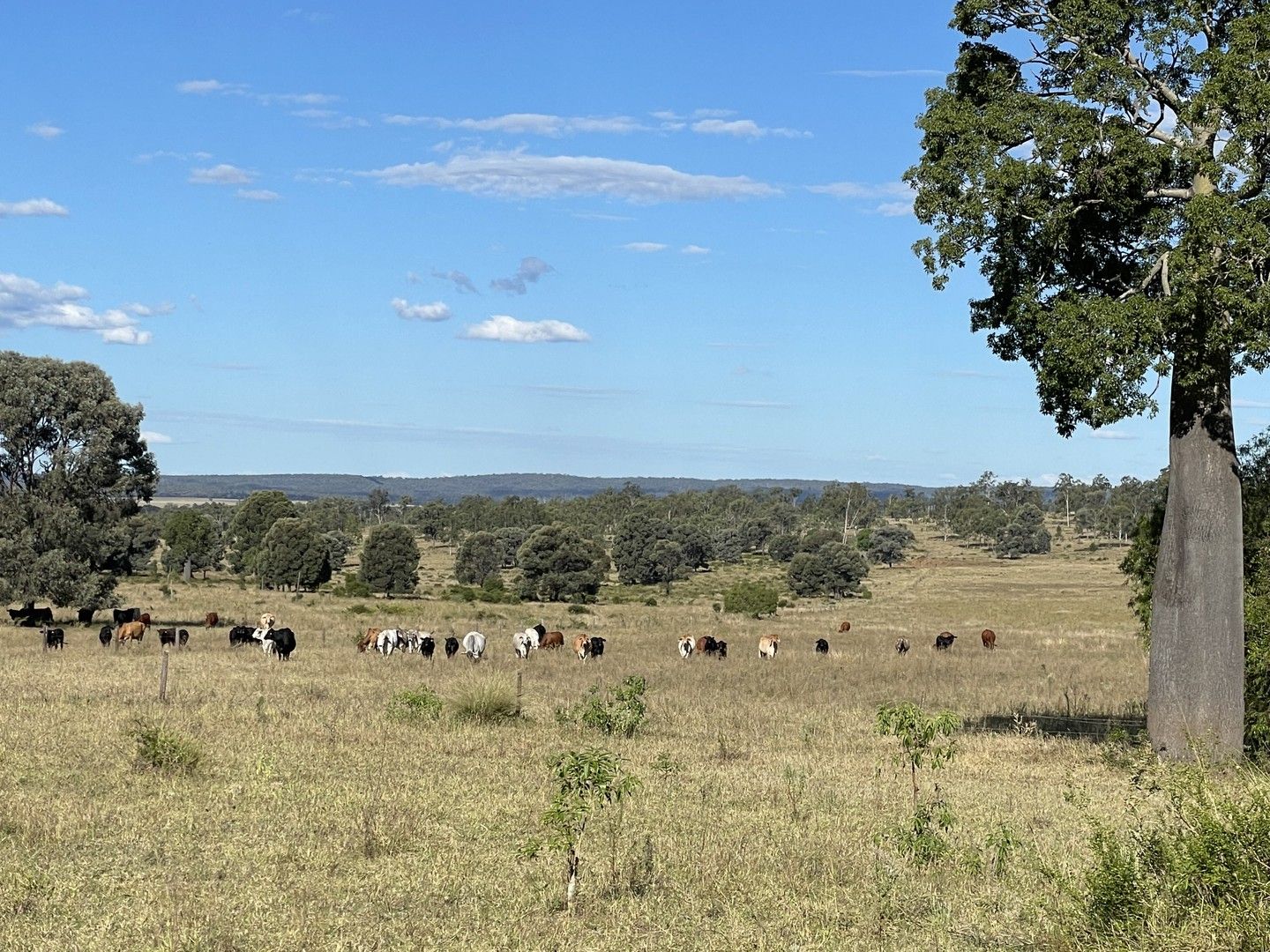 Nogo River Road, Eidsvold QLD 4627, Image 0