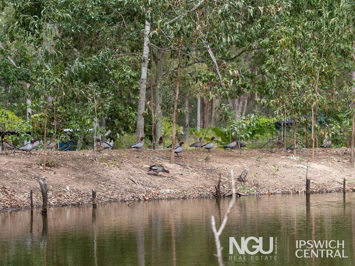 Additional image 19 of 10 Richwood Court, Kensington Grove QLD 4341