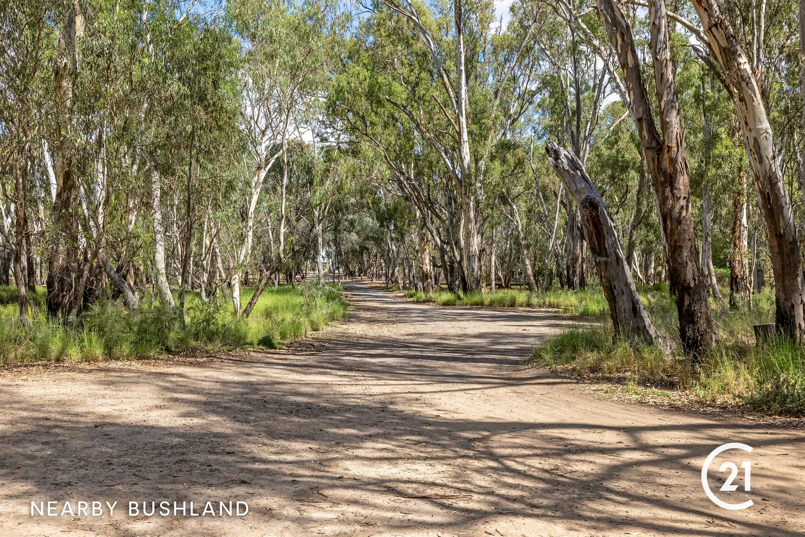Additional image 15 of 22 Darling Street, Echuca VIC 3564