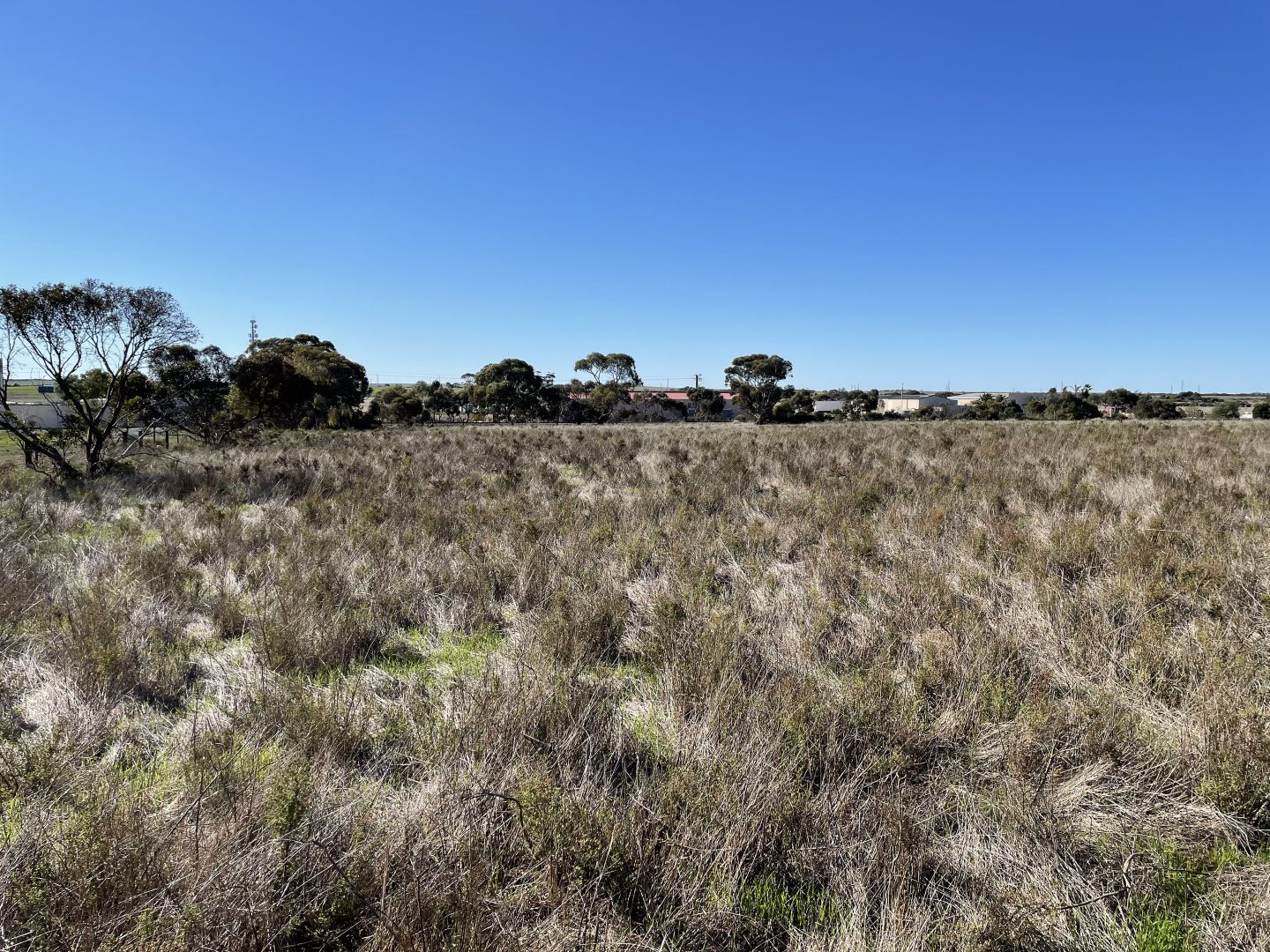 Allotment 289 Golf Course Road, Tailem Bend SA 5260, Image 1
