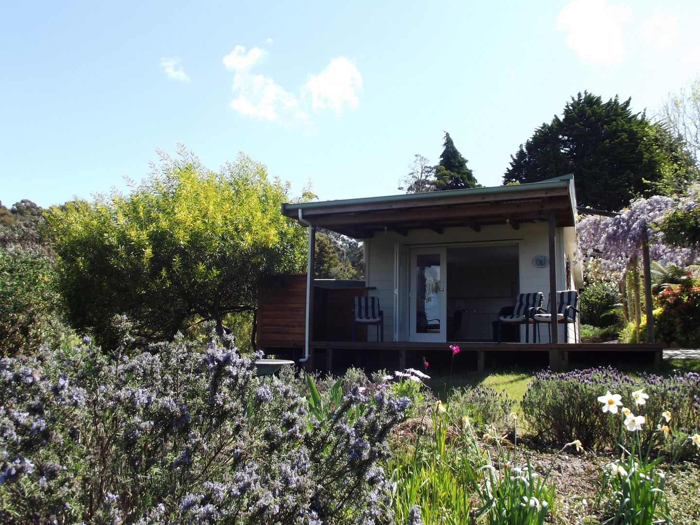 204 Tully Street, St Helens TAS 7216, Image 2