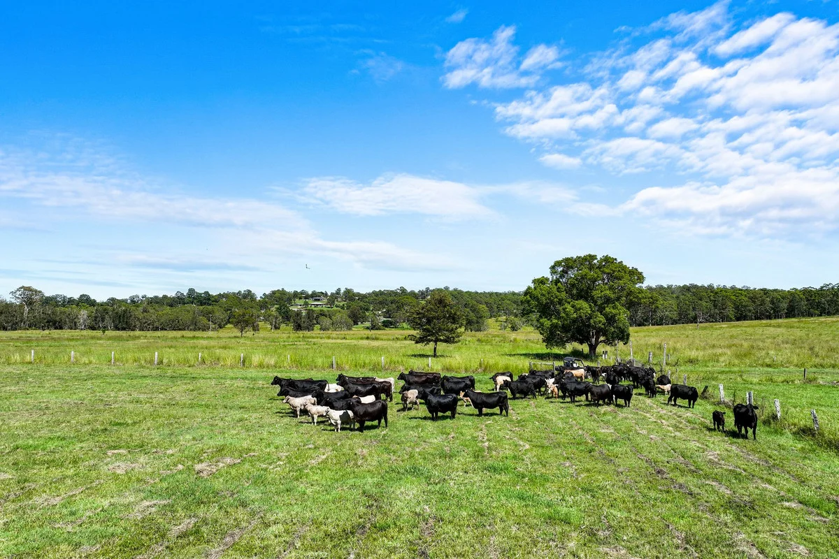 Additional image 31 of 980 Spring Grove Road, Spring Grove NSW 2470