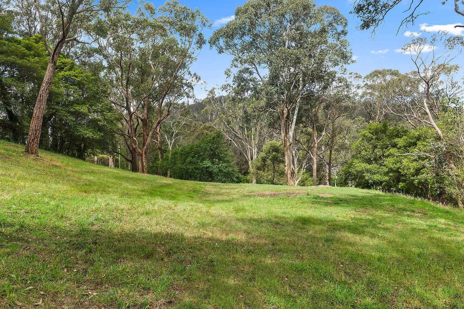 Vacant land in 3 Evans Lane, BOWRAL NSW, 2576