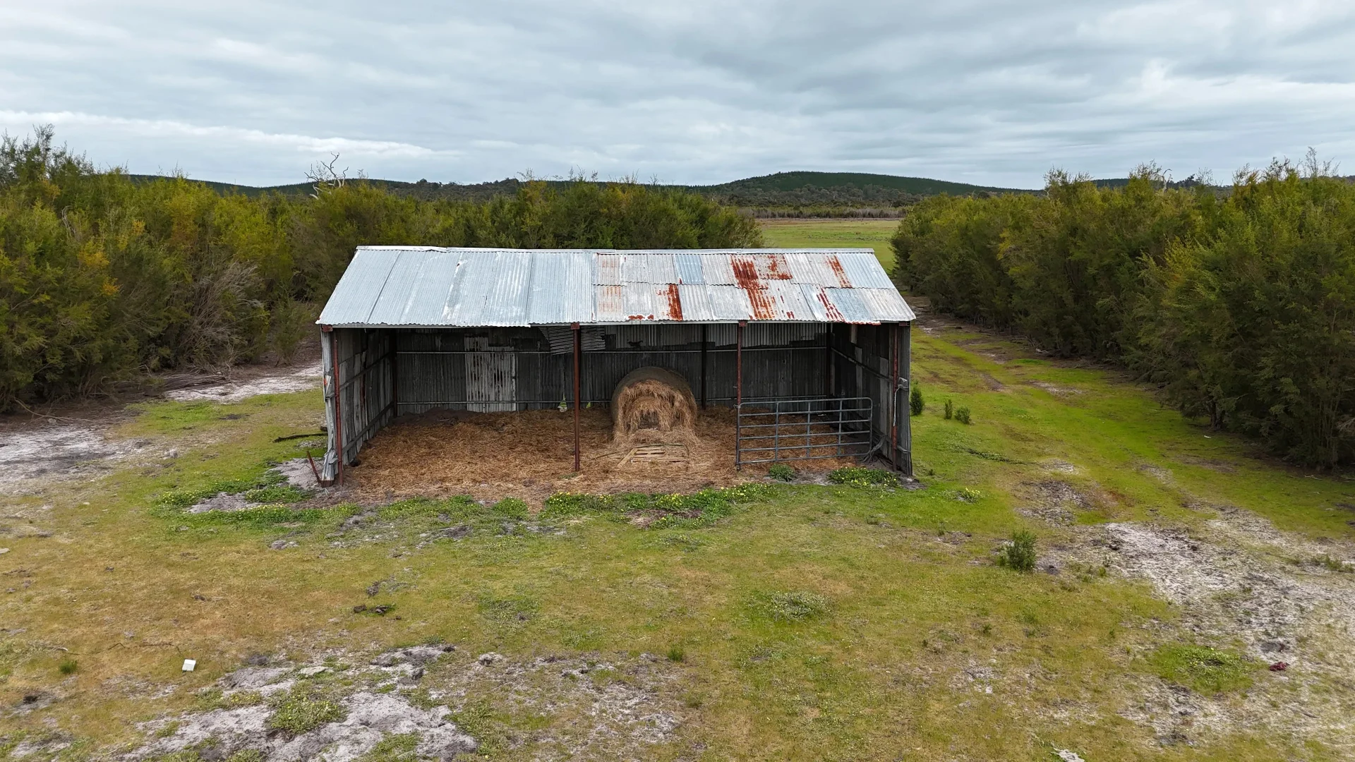 Image 8