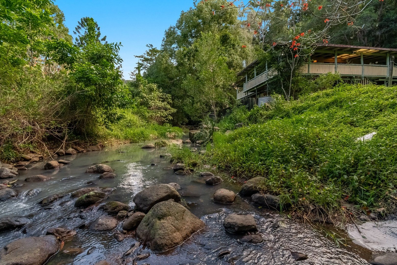 599 Left Bank Road, Mullumbimby Creek NSW 2482, Image 0