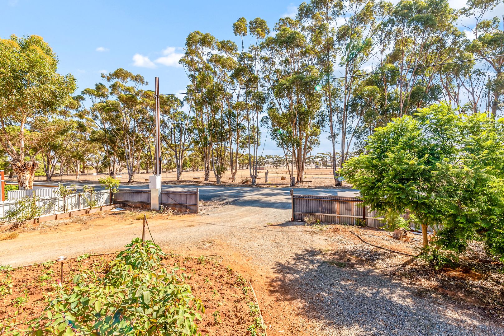 94 Cameron Terrace, Farrell Flat SA 5416 Domain