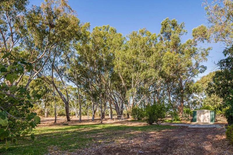 Additional image 22 of 17 Blackboy Court, Woodridge WA 6041