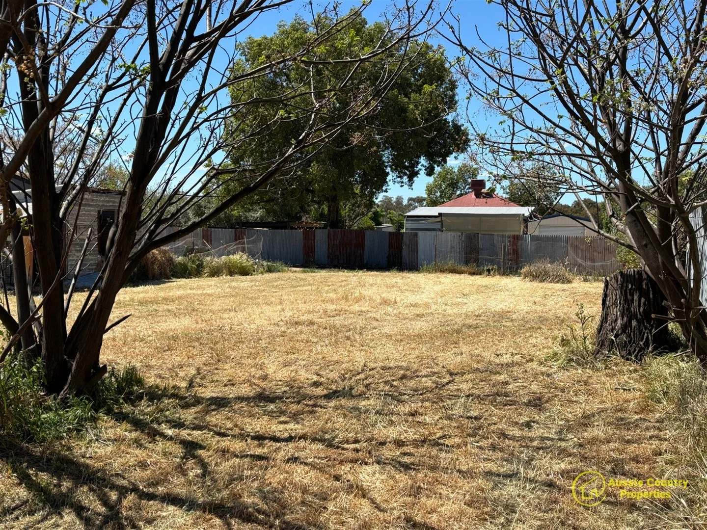Image 12