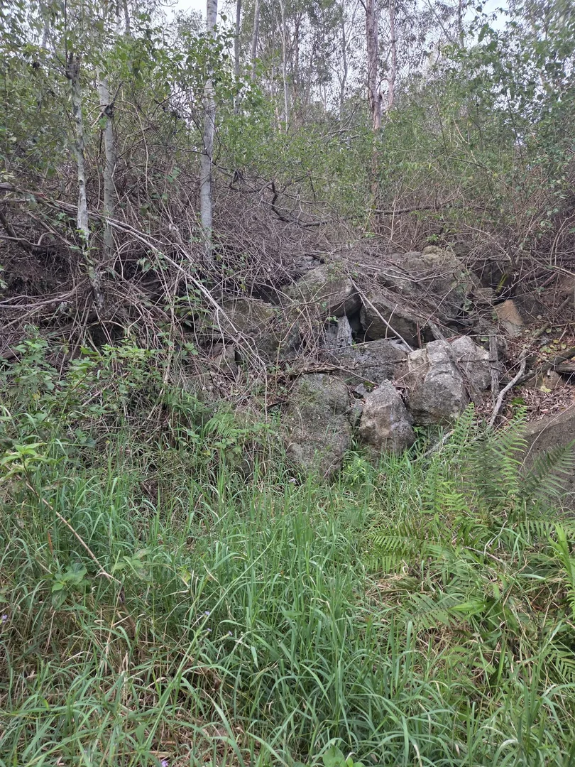 Image 12